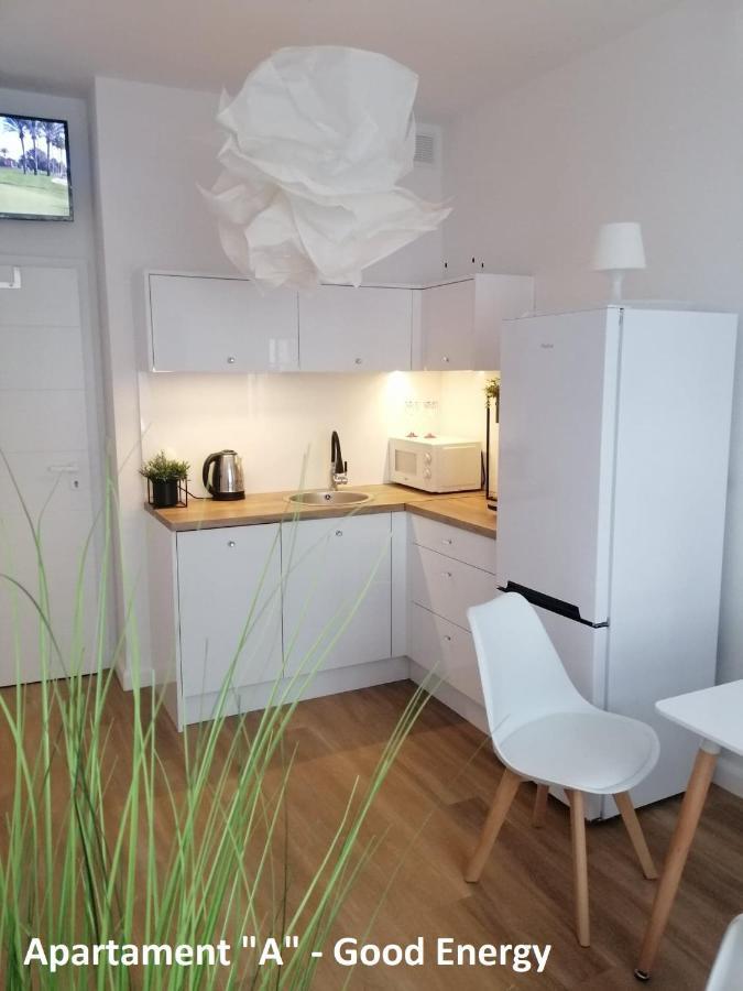 Apartament Elblag Goodenergy - Stare Miasto, Oldtown, Altstadt Экстерьер фото